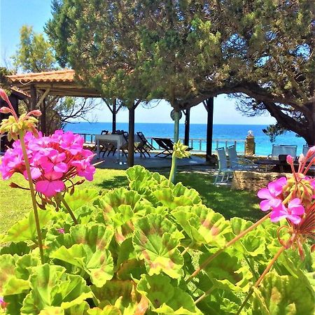 Genari Beach Apartments Levendokhórion Zewnętrze zdjęcie