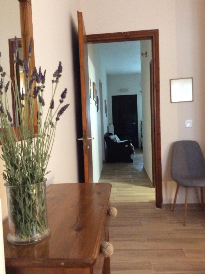 Genari Beach Apartments Levendokhórion Zewnętrze zdjęcie