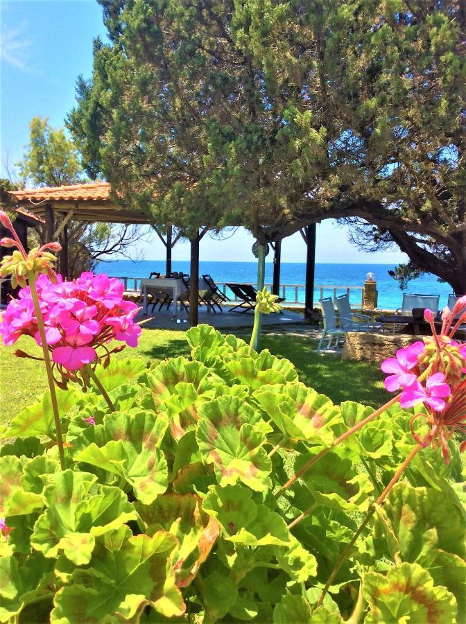Genari Beach Apartments Levendokhórion Zewnętrze zdjęcie